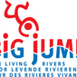 Logo-Big-Jump-new-[vecto]-m.jpg